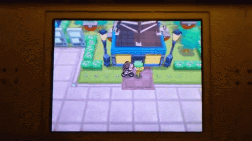(Credit: You, nicovideo)In bw2 biamca wants to ride the ferris wheel with you... But