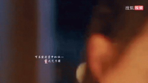 20230327_155627.gif