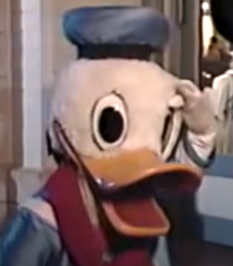 3---Donald-Duck1a76b4a0d724030f.jpg