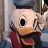 3---Donald-Duck1a76b4a0d724030f