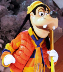 4---Goofy.jpg