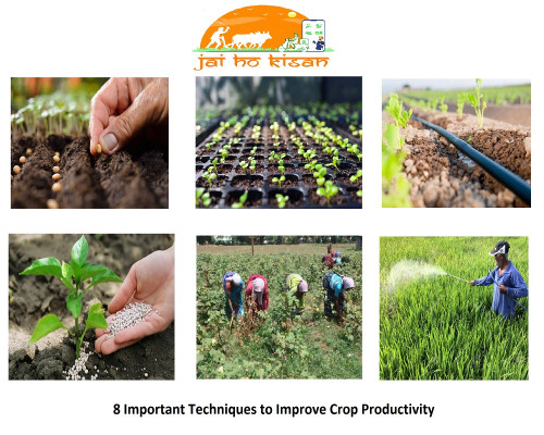 8-Important-Techniques-to-Improve-Crop-Productivity-in-Agriculture.jpg