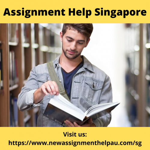 Assignment Help Singapore