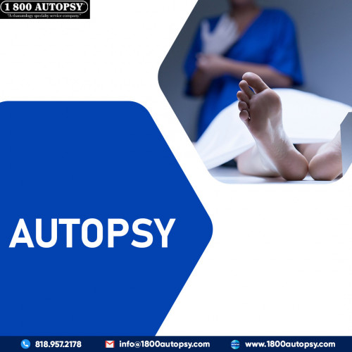 Autopsy41698c20dd6c6c4a4.jpg