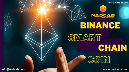 Binance-Smart-Chain-Coin.png