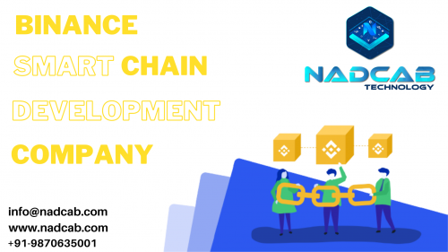 Binance-Smart-Chain-Development-Company.png