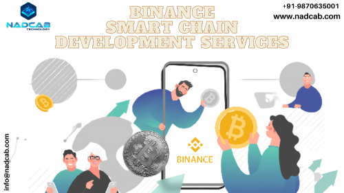 Binance-Smart-Chain-Development-Services.png