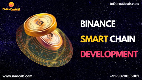 Binance-Smart-Chain-Development.png