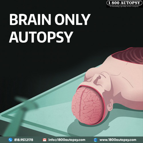 Brain-Only-Autopsy4.jpg