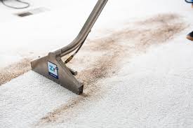 Carpet-Cleaning-Wollongong3006580b1f4fa239.jpg