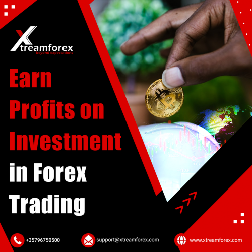 Earn-Profits-on-Investment-in-Forex-Trading.png