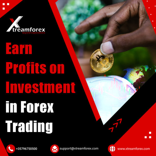 Earn-Profits-on-Investment-in-Forex-Trading5b5987a7b1d07b1f.png