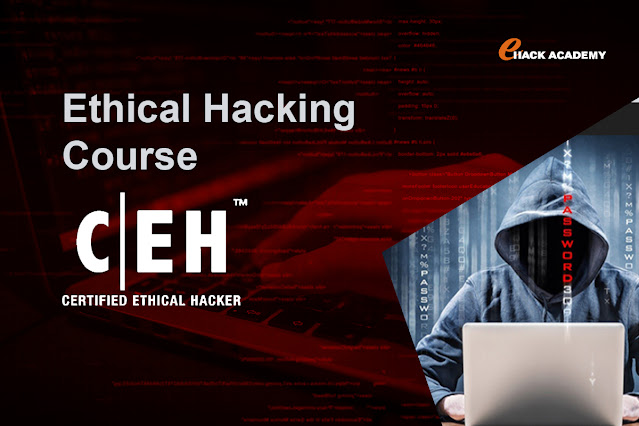 Ethical Hacking Institute in Bangalore eHack Academy - Gifyu