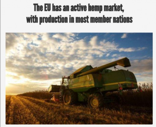 European-hemp-CBD-market.jpg