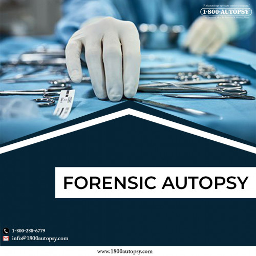 Forensic-Autopsy-2.jpg