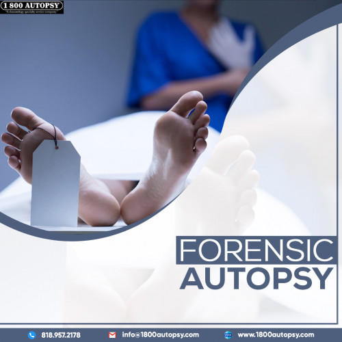 1-800-Autopsy is redefining the way forensic pathology professionals provide complete and integrated services. It is our aim to provide outstanding service to our customers and families in order to constantly satisfy the needs of those we support.
https://www.1800autopsy.com/services/