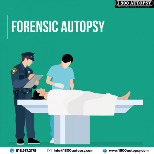 Forensic-Autopsy8.jpg