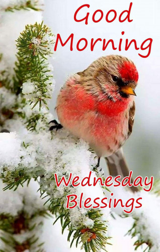 Good-morning-Wednesday-Blessings.jpg