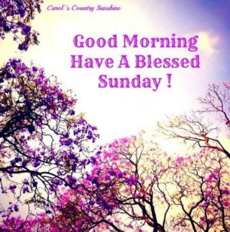 Good-morning-blessed-Sunday-3.jpg