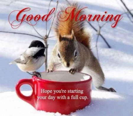 Good-morning-squirrel-cup.jpg