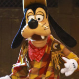 Goofy011c979d248c6313