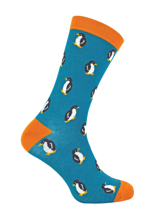 HER ANI Penguins (Teal)