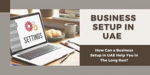 In my opinion, you must fulfill all the technical as well as legal matters that are involved in starting an LLC business in Dubai.
https://www.quora.com/How-can-I-start-or-set-up-an-LLC-limited-liability-company-in-Dubai-the-UAE/answer/Hussain-Sajwani-20?prompt_topic_bio=1