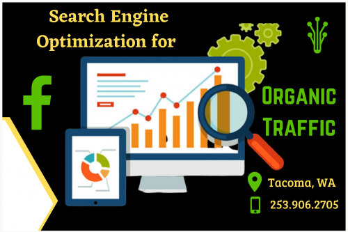 Drive an exponential raise in your organic traffic generation with the best search engine optimization strategies. To know more details - Support@greenhaveninteractive.com.
