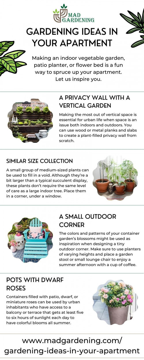 Mad gardening Gardening Ideas in Your Apartent
