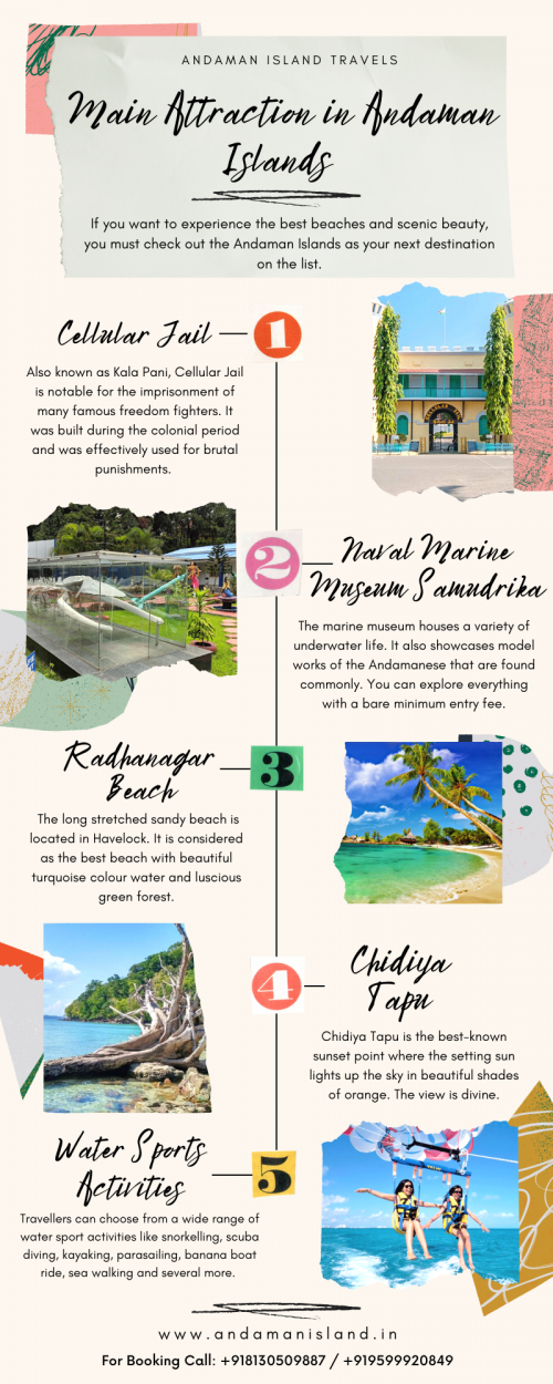 If you want to experience the amazing beaches, scenic beauty, trekking and water sports you must check out the Andaman Islands as your next destination on the list. Select the best option from the Andaman Tour Packages and start packing your bags right away and head over to this beautiful destination.
Visit us at: https://www.andamanisland.in/