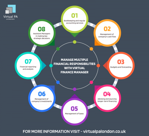 Multiple Financial Responsibilities offered by a Finance Manager