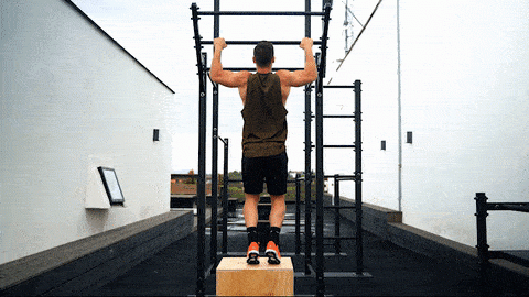 Negative-pull-ups.gif