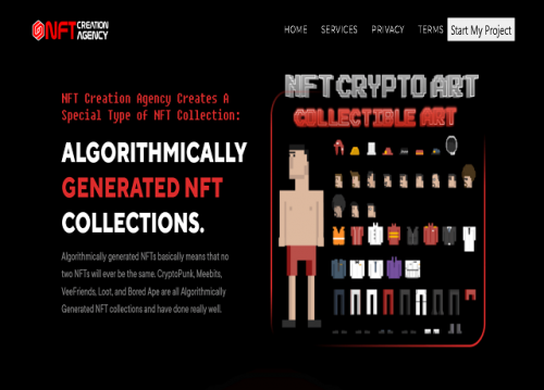 Nft-creation-agencyNft-creatory-agencyAgency-to-create-my-nft-projectpay-for-10k-collection-nft-projectdesign-agency-for-nfts-5.png