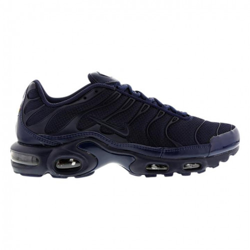 Nike-air-max-plus32209e475017d6fc.jpg