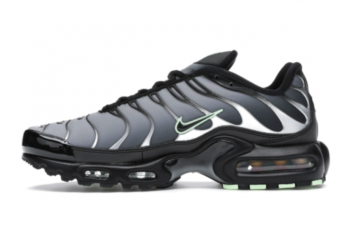 Nike-air-max-tn00116ad41ed76659.png