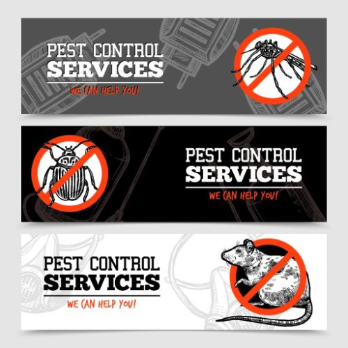 24x7 pest control is one of the best pest control services in Noida, providing prompt and efficient services for all over the pests. They offers effective and reliable pest control solutions for residential and commercial properties. Their team of experienced professionals uses eco-friendly and safe methods to exterminate pests like termites, cockroaches, mosquitoes, rodents, and more. With their excellent equipment and advanced techniques, they ensure complete elimination of pests without causing any harm to the environment.
Visit - https://24x7pestcontrol.com/pest-control-noida.php
Website - https://24x7pestcontrol.com/