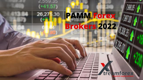 Pamm forex