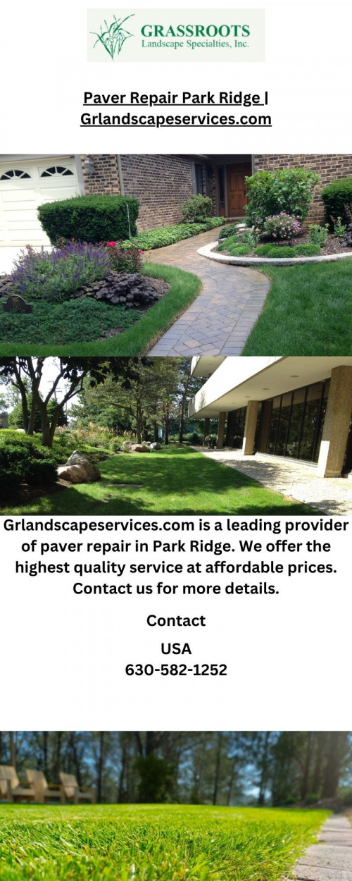 Paver-Repair-Park-Ridge-Grlandscapeservices.com.jpg