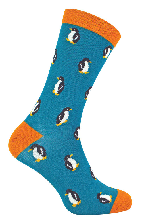 Penguins MH206 TEAL 1