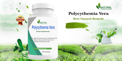 Polycythemia Vera Treatments Naturally can help you manage your symptoms and improve your quality of life. So, take charge of your health by starting to implement this simple advice right away. https://www.herbs-solutions-by-nature.com/blog/polycythemia-vera-what-are-the-safest-and-least-expensive-treatments/