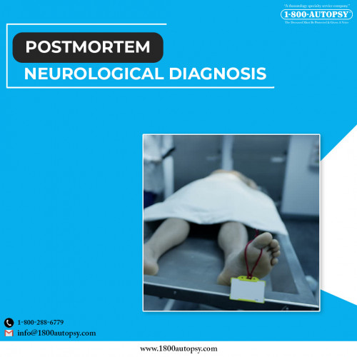 Postmortem-Neurological-Diagnosis-3.jpg