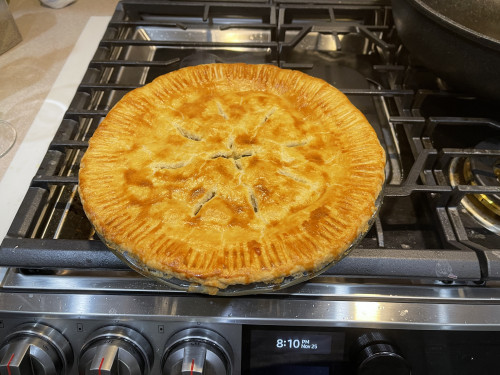Pot Pie 1 2021