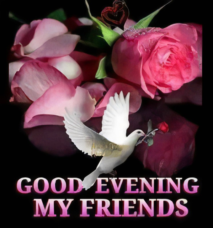 Good Evening my friends. Good Evening Greetings Rose. A friend this evening