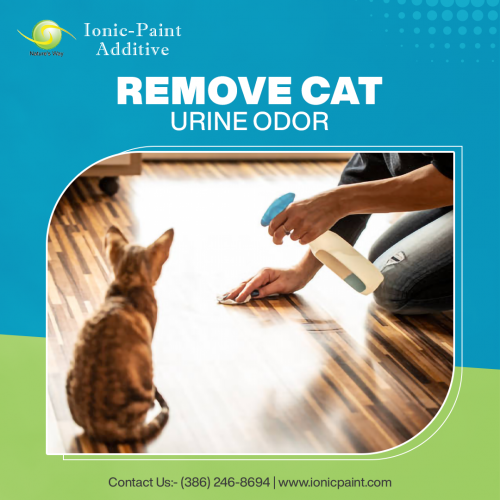 Remove-Cat-Urine-Odors.png