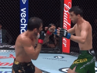 S53oG.gif