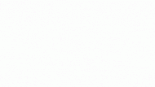 S5996.gif