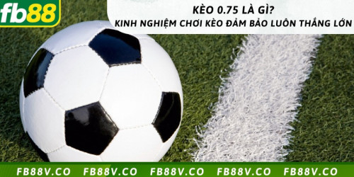 Nếu bạn chọn đặt cược cho đội cửa trên là VFL Wolfsburg với tỷ lệ thắng 1.87 và 100$ tiền cược ban đầu thì sẽ có những trường hợp xảy ra như sau:

Trường hợp 1: Đội tuyển VFL Wolfsburg chiến thắng trước đội bóng Arminia Bielefeld với tỷ số cách biệt từ 2 bàn trở lên. Lúc đó bạn sẽ nhận được số tiền thưởng theo công thức 100 x 1.87 = 187$.
Trường hợp 2: Đội tuyển VFL Wolfsburg thắng đội tuyển Arminia Bielefeld với cách biệt từ 1 bàn duy nhất. Trong trường hợp đó, bạn sẽ nhận được 143.5$ nếu chọn đội cửa trên, trong đó 100$ là tiền đã đặt và 43$ là tiền thắng cược. 
Trường hợp 3: Hai đội có kết quả cuối cùng hoà nhau hoặc đội tuyển VFL Wolfsburg thua trận thì bạn sẽ mất toàn bộ 100$ đã đặt cược.

#fb88 #fb88v #nhacaifb88v