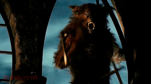S5Sm8.gif