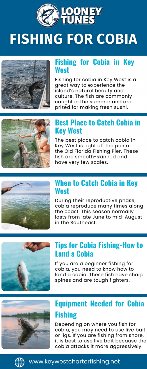 Learn effective techniques for fishing for cobia in Key West. Our expert fishing charter comprehensive guide covers tips, spots, and gear for a successful cobia fishing experience. We hope you’ll join us and fall in love with the treasure and bounty that surrounds Key West! Visit us at https://keywestcharterfishing.net/fishing-for-cobia/