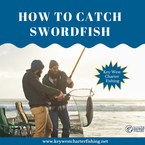 Join us at Key West Charter Fishing for an unforgettable experience learning how to catch swordfish. Our expert fishing charter teaches you the techniques to catch swordfish and what type of fishing equipment you need. Our knowledgeable guides will help you reel in the big one! Visit us at https://keywestcharterfishing.net/catching-swordfish/